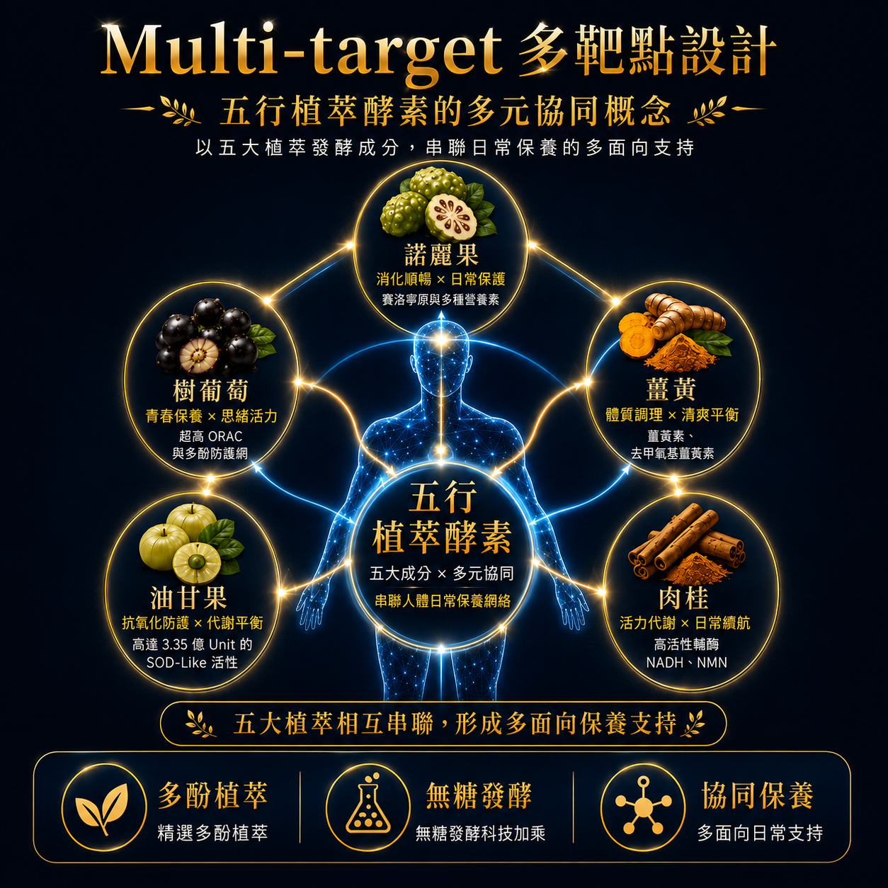 五種植萃連結人體五個位置，形成多面向協同作用的多靶點設計圖
